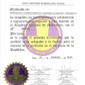 Acercar imagen: certificate 10