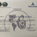 Acercar imagen: certificate 33