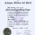 Acercar imagen: certificate 2