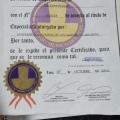 Acercar imagen: certificate 40