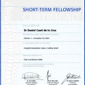 Acercar imagen: certificate 8