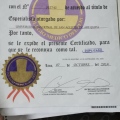 Acercar imagen: certificate 32
