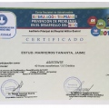 Acercar imagen: certificate 14