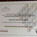 Acercar imagen: certificate 21