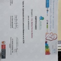 Acercar imagen: certificate 24