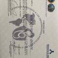 Acercar imagen: certificate 6