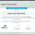 Acercar imagen: certificate 25
