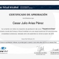 Acercar imagen: certificate 21
