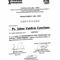 Acercar imagen: certificate 10