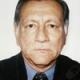 Vicente Alfonso Castañeda Serrano