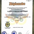Acercar imagen: certificate 13
