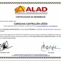 Acercar imagen: certificate 7