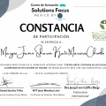 Acercar imagen: certificate 5