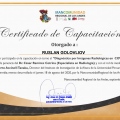 Acercar imagen: certificate 5