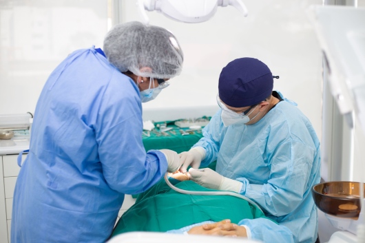 Christian Omar Elías Cornock-6