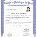 Acercar imagen: certificate 3