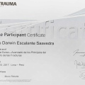 Acercar imagen: certificate 7