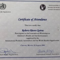 Acercar imagen: certificate 46