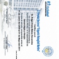 Acercar imagen: certificate 4