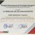 Acercar imagen: certificate 15