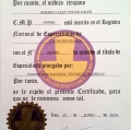 Acercar imagen: certificate 4