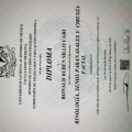 Acercar imagen: certificate 1