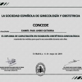 Acercar imagen: certificate 3