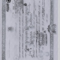 Acercar imagen: certificate 5