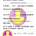 Acercar imagen: certificate 3