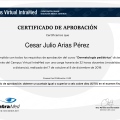 Acercar imagen: certificate 23