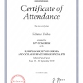 Acercar imagen: certificate 2