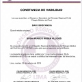 Acercar imagen: certificate 11