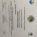 Acercar imagen: certificate 7