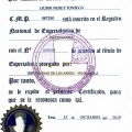 Acercar imagen: certificate 5