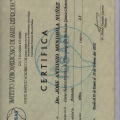 Acercar imagen: certificate 3