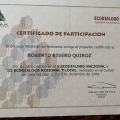 Acercar imagen: certificate 48