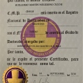 Acercar imagen: certificate 9