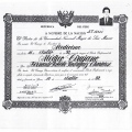 Acercar imagen: certificate 11