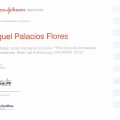 Acercar imagen: certificate 2
