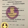 Acercar imagen: certificate 7