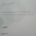 Acercar imagen: certificate 3