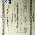 Acercar imagen: certificate 8