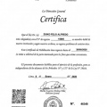 Acercar imagen: certificate 10