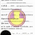 Acercar imagen: certificate 11