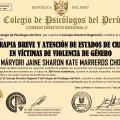Acercar imagen: certificate 2