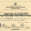 Acercar imagen: certificate 3