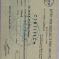 Acercar imagen: certificate 1