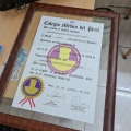 Acercar imagen: certificate 8