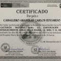 Acercar imagen: certificate 5