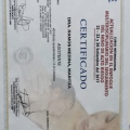 Acercar imagen: certificate 13